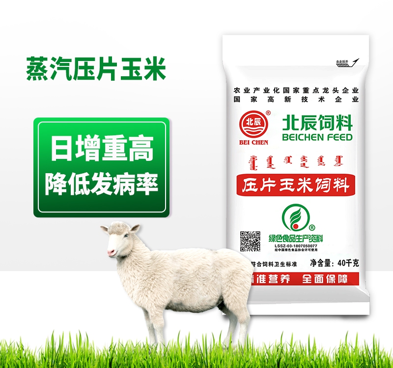 蒸汽压片玉米